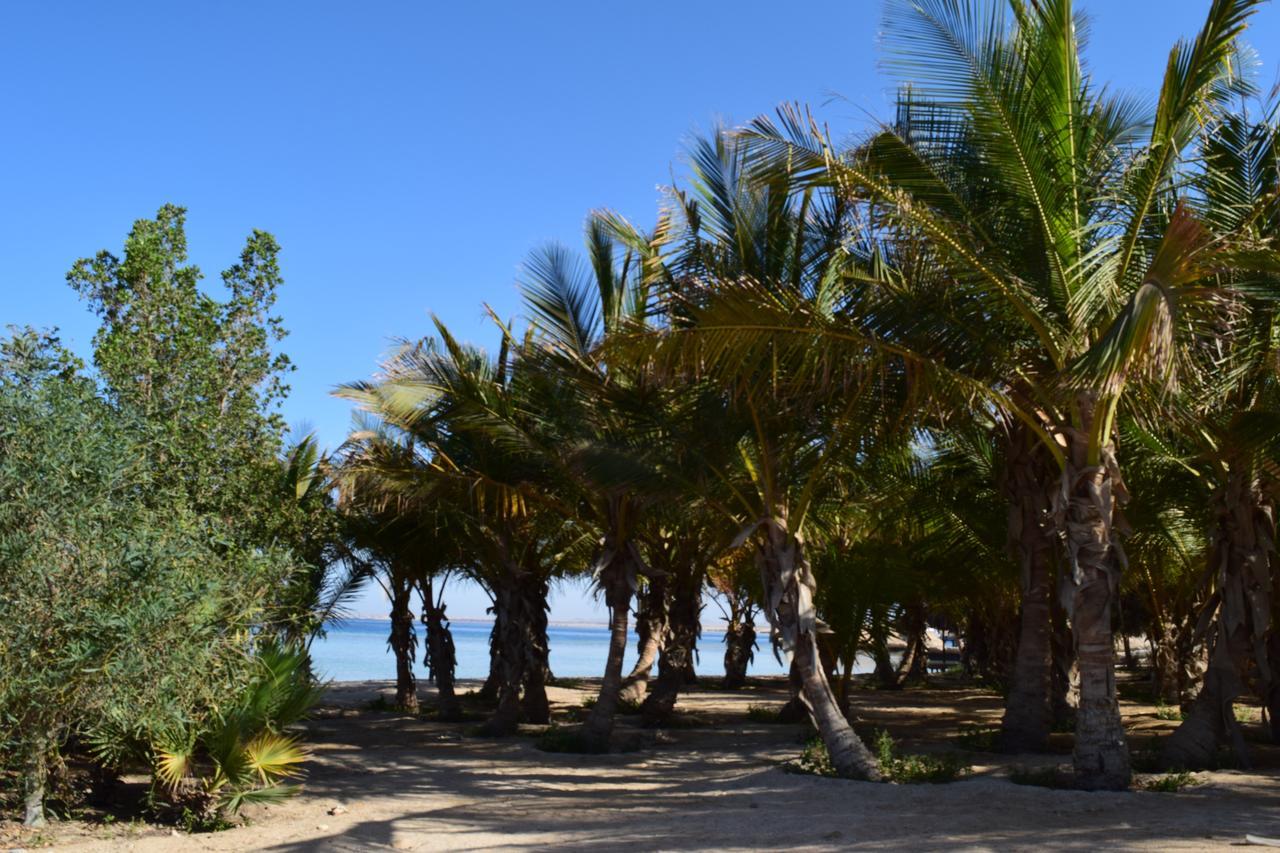 Mangrove Bay Resort El Qoseir Buitenkant foto